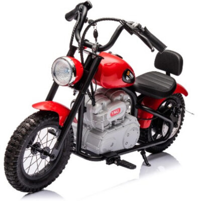 Single Rider Cruiser Bike 36V